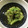 240915's cooksnap of when they made 塩麹さんでふきのとうの煮びたし.