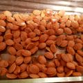 サバ先生's cooksnap of when they made かぼちゃの種の屋内日干し方法と剥き方.