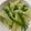 ゆいまーるん's cooksnap of when they made じゃがいもとピーマンの昆布茶炒め.