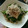 Hitomiクック's cooksnap of when they made ほうれん草の大根まみれおひたし.