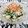 Satoco❋'s cooksnap of when they made わかめ♧水菜♧鶏肉の柚子胡椒マヨサラダ.