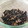 すずこちゃん's cooksnap of when they made 作り置き♪木耳と椎茸のつくだ煮.