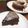 おさとう★̇̈⃛⃜'s cooksnap of when they made 濃厚ガトーショコラ.