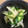 petokko's cooksnap of when they made セロリときゅうりの簡単中華風浅漬け.