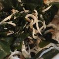 クックHKZXBR☆'s cooksnap of when they made ＊ワカメとしらすのおかか和え＊.