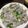ちゃすたろう's cooksnap of when they made 豆苗の豚肉巻きレンジ蒸し.