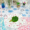 sakuraロゼット's cooksnap of when they made うちのしその葉保存★.