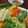 ヌーシ's cooksnap of when they made バーニャカウダ風＊たっぷり温野菜サラダ♪.