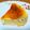 sweet_rose's cooksnap of when they made 簡単で濃厚★チーズケーキ.