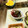 ♡ひな祭り♡'s cooksnap of when they made わかめとちりめんじゃこの酢の物.