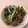 カマキチ's cooksnap of when they made 豚肉と水菜と油揚げの甘煮.
