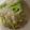 スノーディッシュ's cooksnap of when they made 豆乳で作る＊ちゃんぽん＊スープ♪.