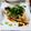 ちえたろう's cooksnap of when they made 白身魚のネギぽん.