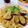 ハリスコ's cooksnap of when they made きのこと茄子の醤油スパゲティ.