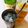 azbjbn's cooksnap of when they made 絶対美味しい！☆強炭酸ハイボール★.