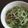 みがつくひと's cooksnap of when they made あっさりシャキッと！水菜のかにかまサラダ.