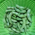 猫まんま☆'s cooksnap of when they made 枝豆(ゆで豆).