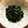 メグピンク's cooksnap of when they made ほうれん草とのりの和風サラダ.