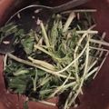 inLondon's cooksnap of when they made 超簡単おいしい！水菜とツナの和風サラダ.