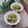 クックHG9V8Y☆'s cooksnap of when they made キャベツと鯖水煮缶のレモン蒸し.
