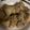 大阪のちゃーちゃん's cooksnap of when they made 豚バラと里いもとこんにゃくの煮物.
