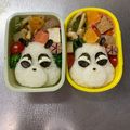 Chaaa_room's cooksnap of when they made 旦那⭐キャラ弁 らんま1/2の早乙女玄馬.