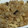 美緒玲＠女子力アップ's cooksnap of when they made 豚タケノコの中華風炊き込みご飯♪.