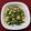 SUNMOONMOM's cooksnap of when they made 子供も大好き！なばなのツナあえ.