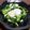 みっちみっちみっち's cooksnap of when they made 卵のソースで食べるブロッコリーのマヨ焼き.