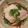 inLondon's cooksnap of when they made 鱈の紹興酒蒸し.