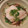 inLondon's cooksnap of when they made ネギと鱈（たら）の酒蒸し.