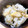 akiben88's cooksnap of when they made たけのことわらびの炊き込みご飯.