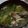 ヨシヨッシー's cooksnap of when they made 【大同電鍋】鶏と青梗菜のスープ.