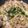 クックPCKCO5☆'s cooksnap of when they made ご飯が進む！豚肉とキャベツの味噌炒め.