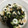 ころりn's cooksnap of when they made わかめとちくわの酢の物.