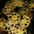 ふぁんたにゃん's cooksnap of when they made パパッと!材料2つで簡単美味れんこん炒め.