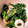 あっきー5296's cooksnap of when they made ちくわと菜の花のごま和え.
