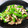 keagle221's cooksnap of when they made 豚コマと絹さやのオイスターソース炒め.