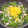 R♡Y's cooksnap of when they made もやしと豆苗の中華サラダ.