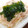 ネッサローズ's cooksnap of when they made 豚バラもやしのレンジ蒸し♪ワカメのせ♪.