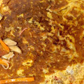 ぞうさん1号's cooksnap of when they made かにカマで☆素を使わない本格かに玉.