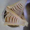 こらそんちゃん's cooksnap of when they made 簡単美味しい！たけのこのあく抜き.