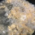 cosumos's cooksnap of when they made 簡単☆うどんスープで雑炊☆.