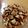 Kaffy10's cooksnap of when they made 簡単!あたしのラスク♪.