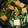 クックMPSQ4U☆'s cooksnap of when they made モヤシと厚揚げのナムル炒め.
