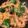 クックOD1LS7☆'s cooksnap of when they made ベーコン、エビ、野菜の味噌クリームパスタ.