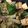 ﾍﾞｼﾞ子♣'s cooksnap of when they made お豆腐とお野菜のクタクタ炒め.