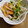 あげはっちゃん's cooksnap of when they made 豆苗ともやしのハムマリネ～中華風.