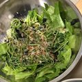 クックRS80Y7☆'s cooksnap of when they made 味付け塩のみ！豆苗の海苔ゴマ和え.