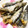 クックCR024S☆'s cooksnap of when they made メヒカリのから揚げ.